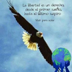 Meet your Posher, Marvin